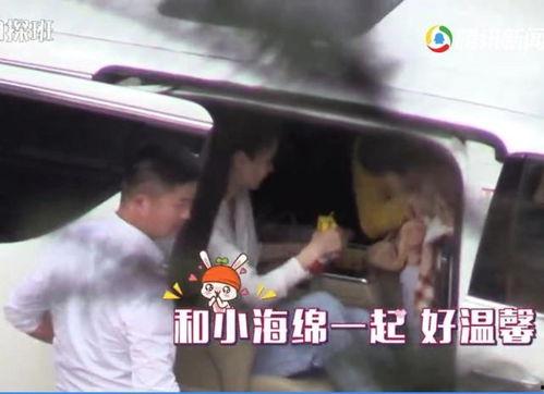 小海绵最新爆料辟谣视频,揭秘真相背后的真相 第1张 小海绵最新爆料辟谣视频,揭秘真相背后的真相 第1张